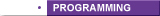 Custom Programming